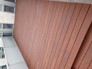20191104_162618 (Medium)